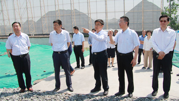 巅峰国际官网-追求康健,你我一起生长