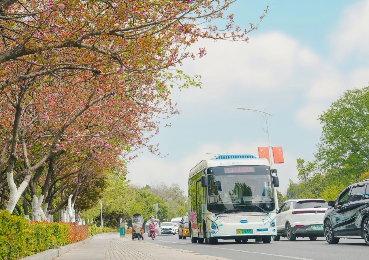 清明踏春行，，徐州公交全心护航市民出行